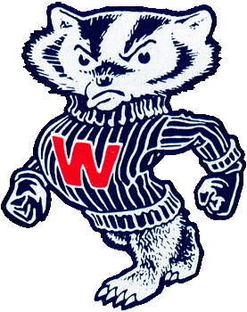 Wisconsin Badgers 1967-1990 Primary Logo iron on transfers for T-shirts